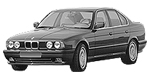 BMW E34 C20DE Fault Code